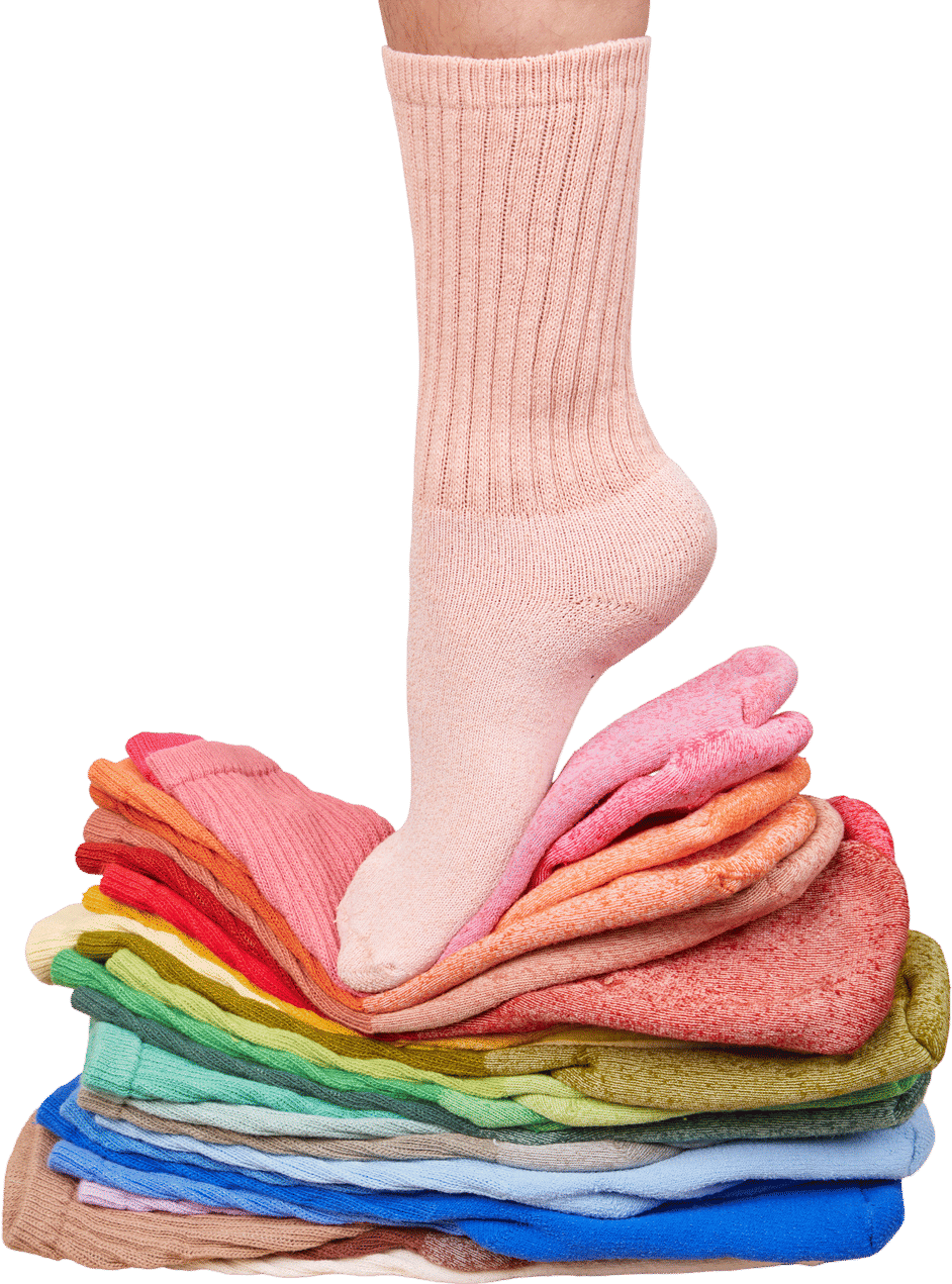Big Bud Press Thick Crew Sock
