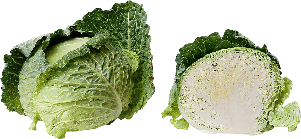 Cabbage