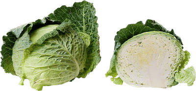 Cabbage