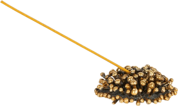 Sea Urchin Incense Holder