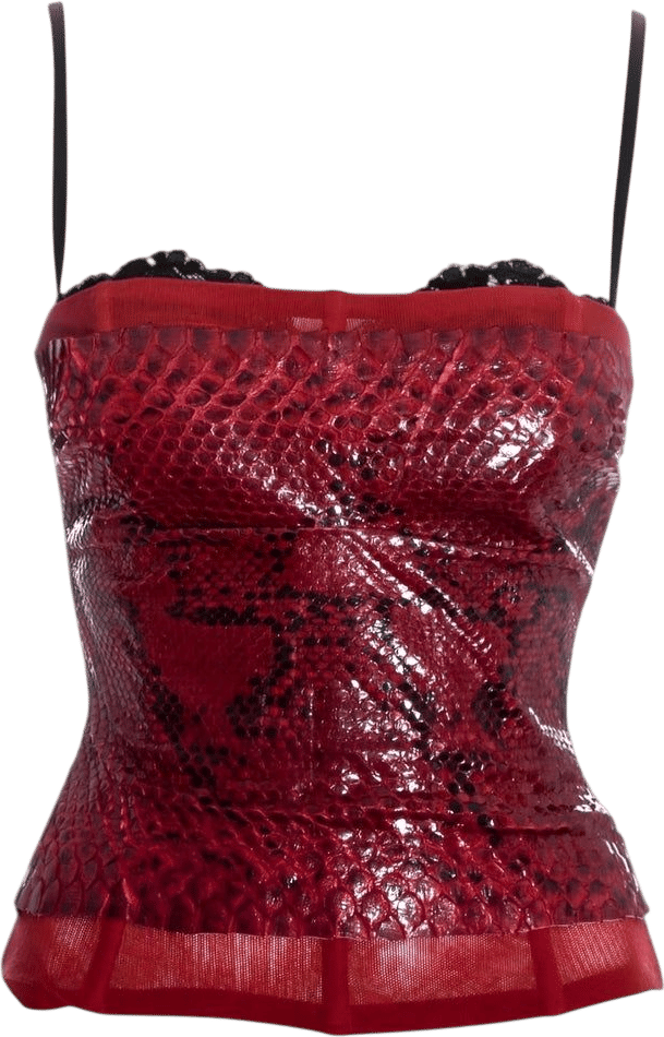 D&G S/s 2005 Red Python Bustier Corset 
