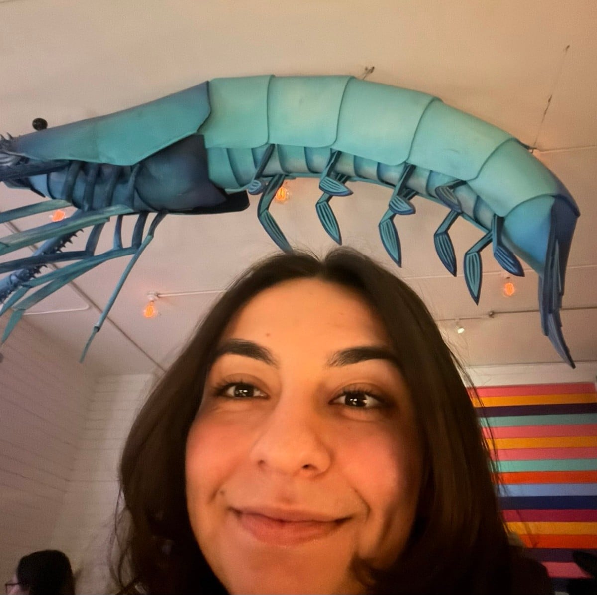 Demi Seremetis