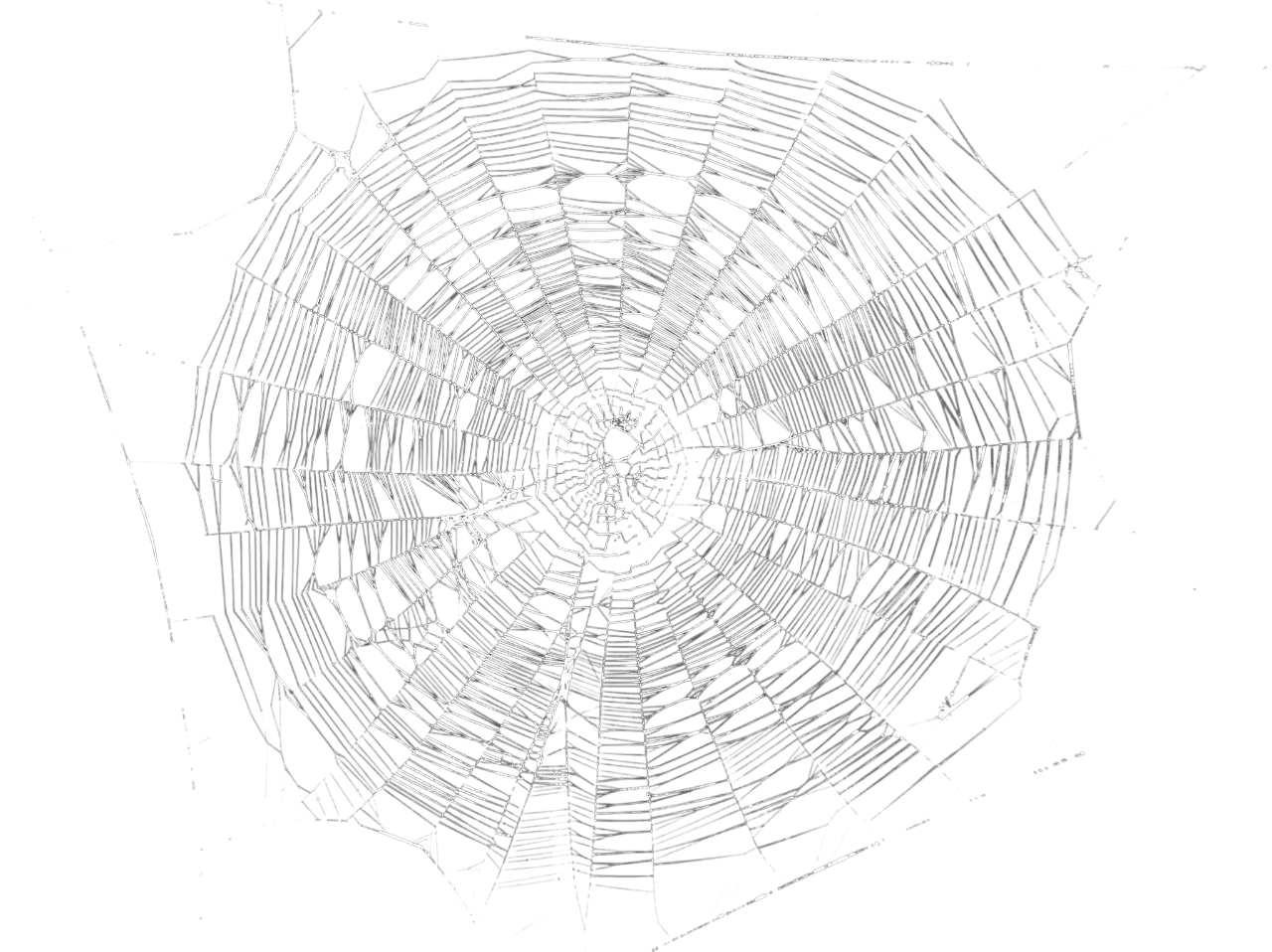 The Internet is a Series of Webs