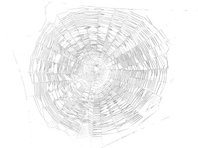 The Internet is a Series of Webs