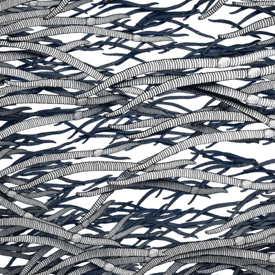 Here Be Monsters: Prey of Worms