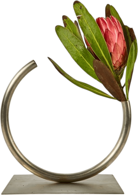 ACV Studio Vases