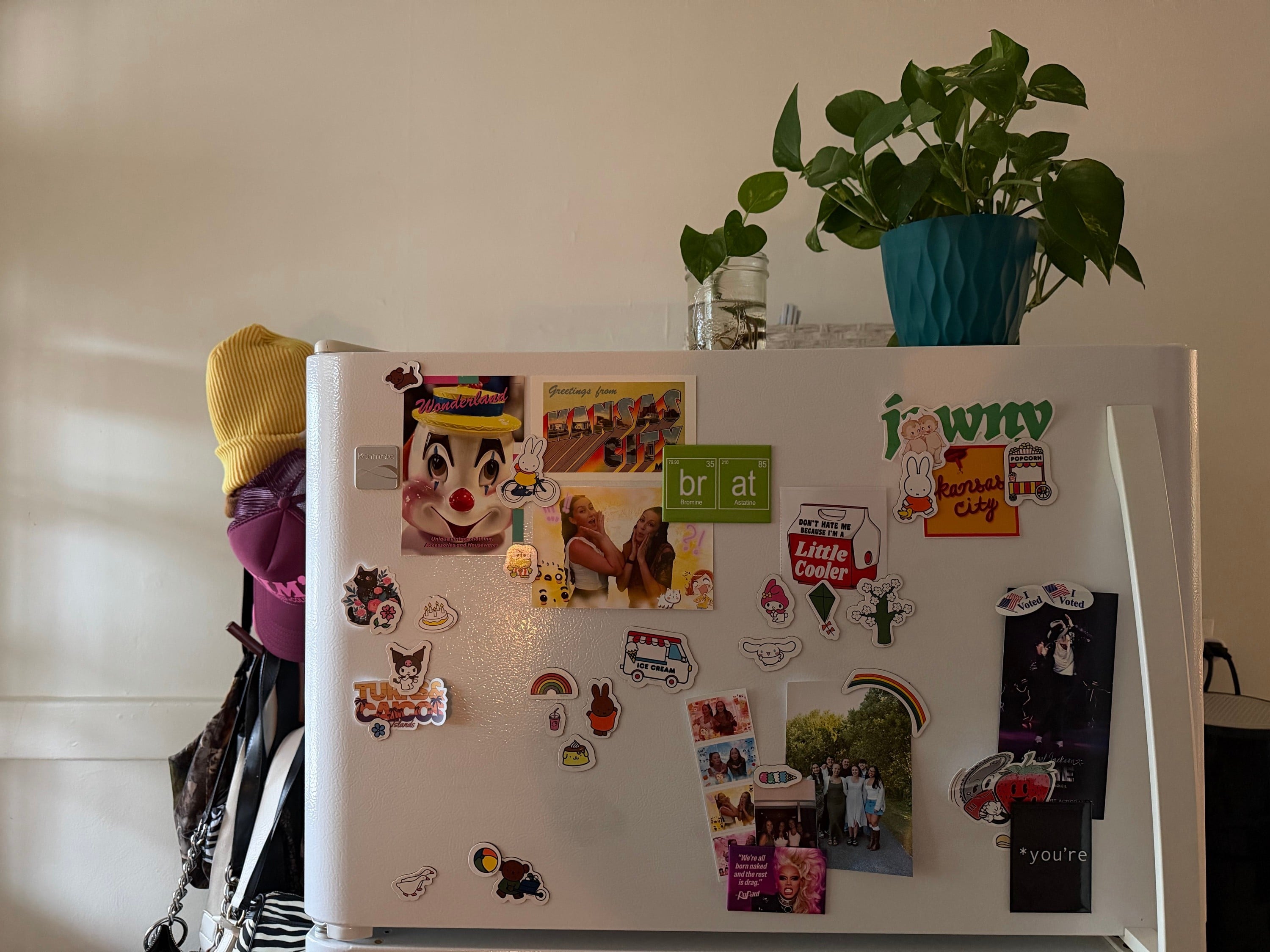 Decorating your fridge to oblivion.