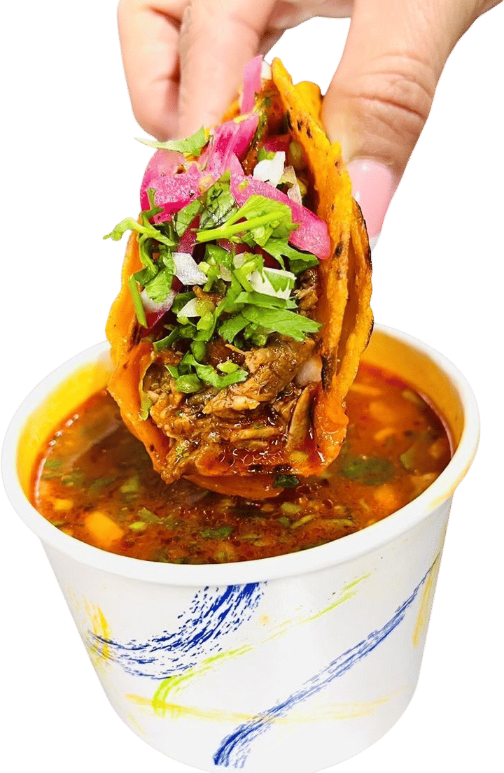 birria landia
