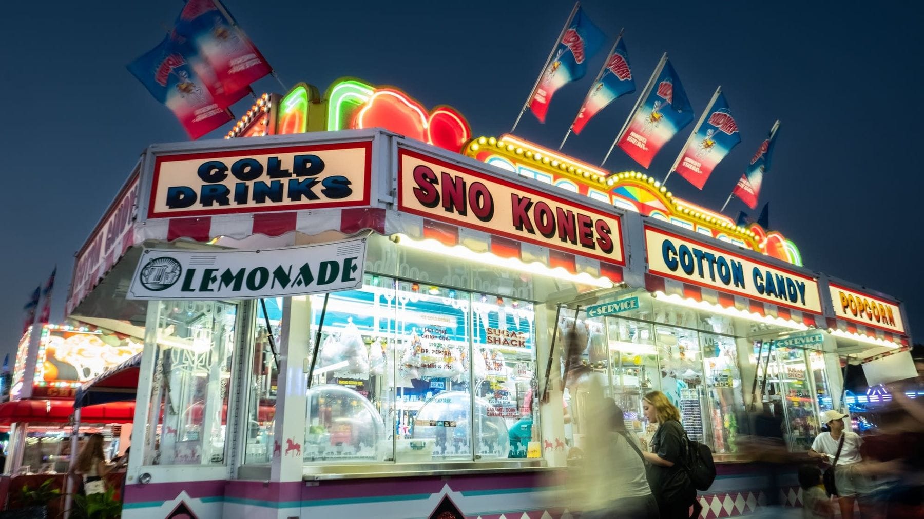 Minnesota State Fair Mysteries