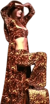 shania twain that dont impress me much