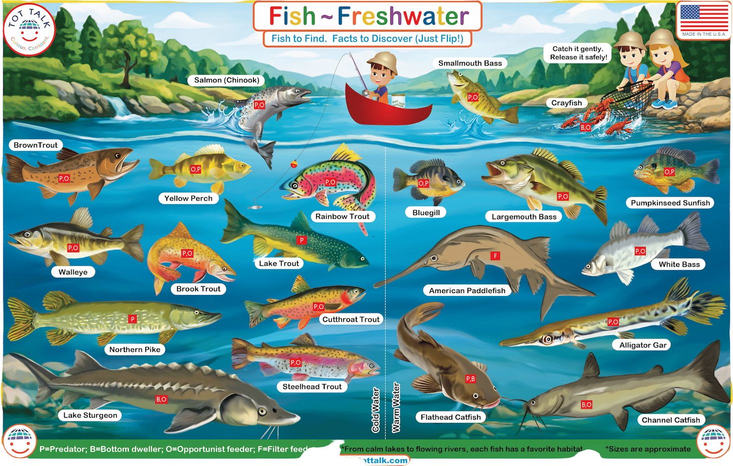 tot talk informational placemats