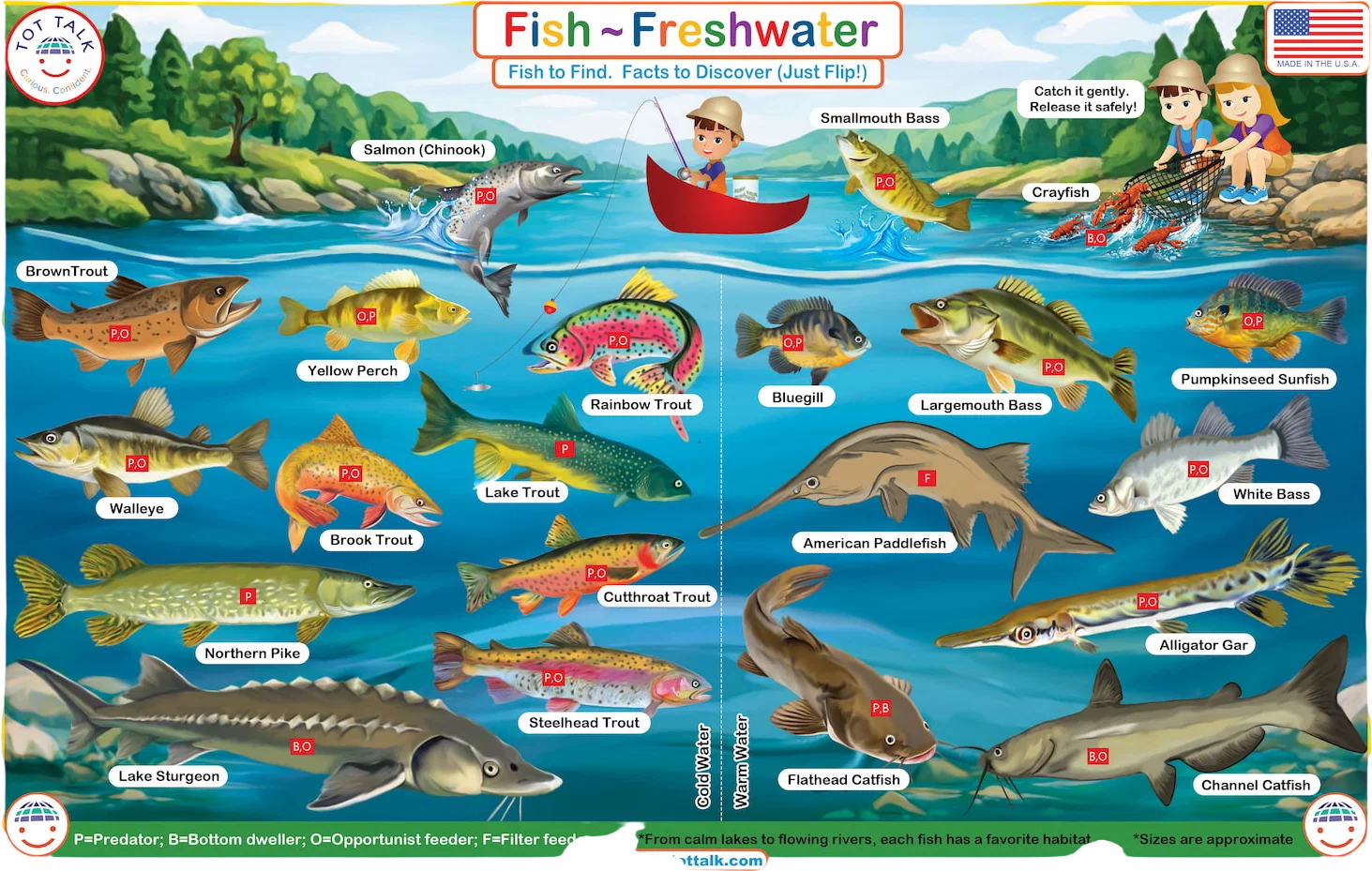 Informational Placemats