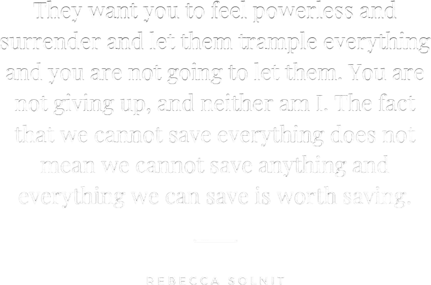 rebecca solnit