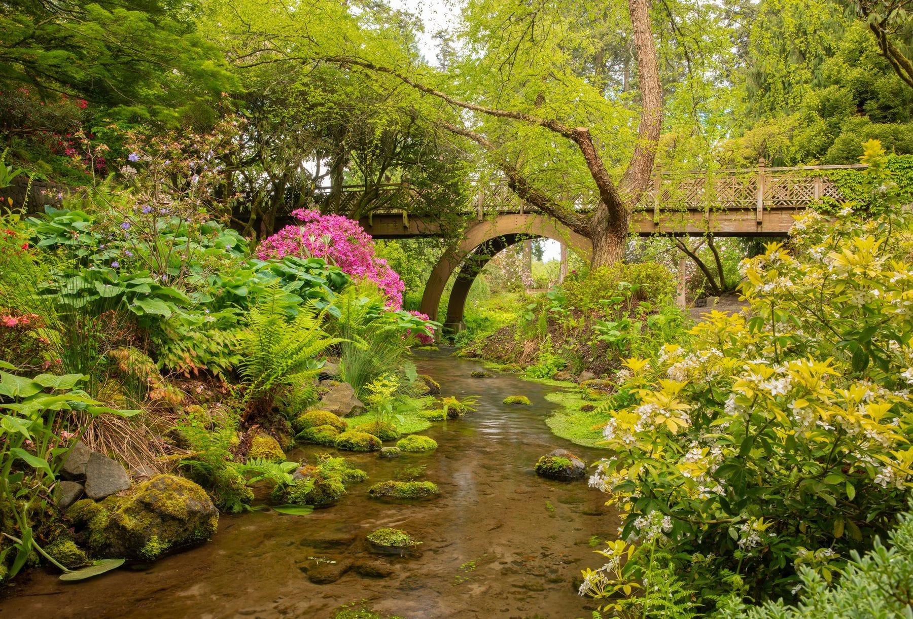 Crystal Springs Rhododendron Garden