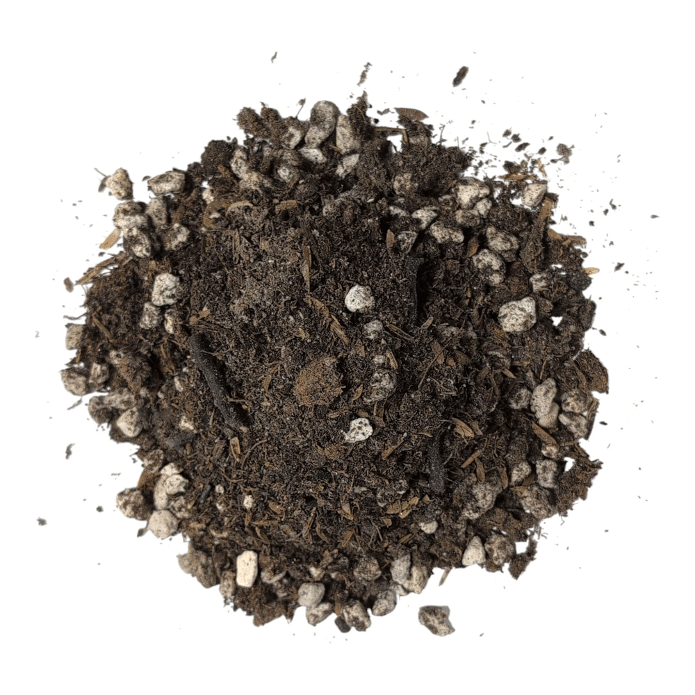 Living Soil