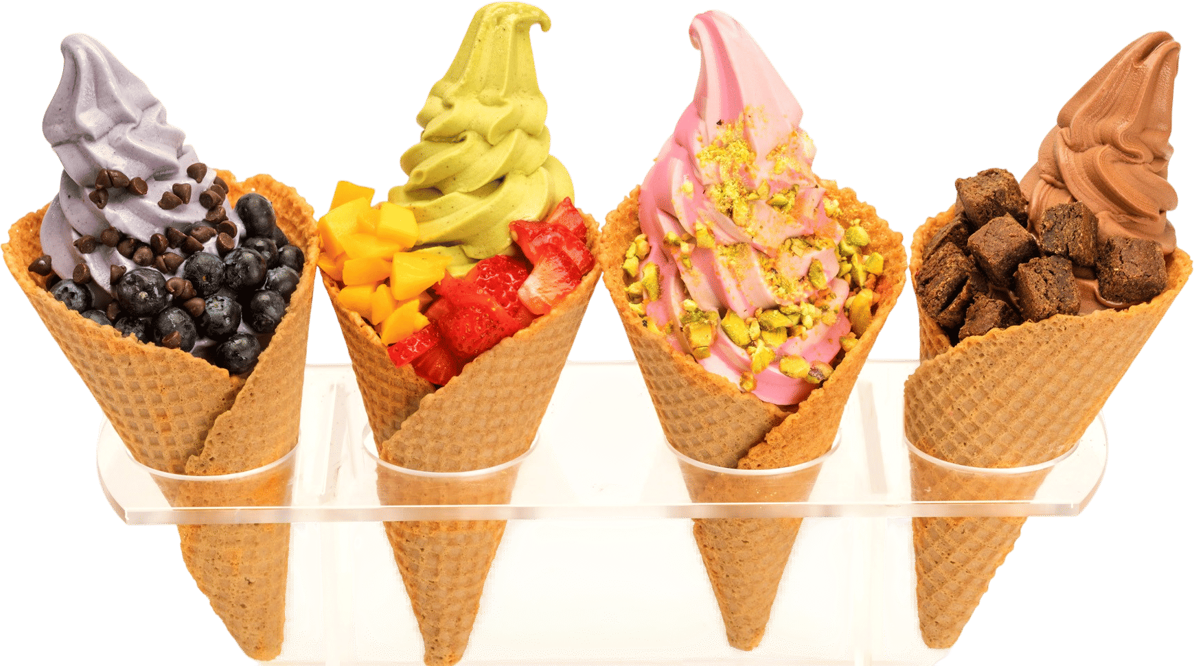 Yoga-Urt