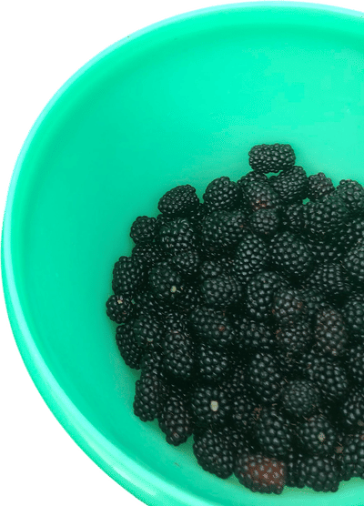 Blackberries