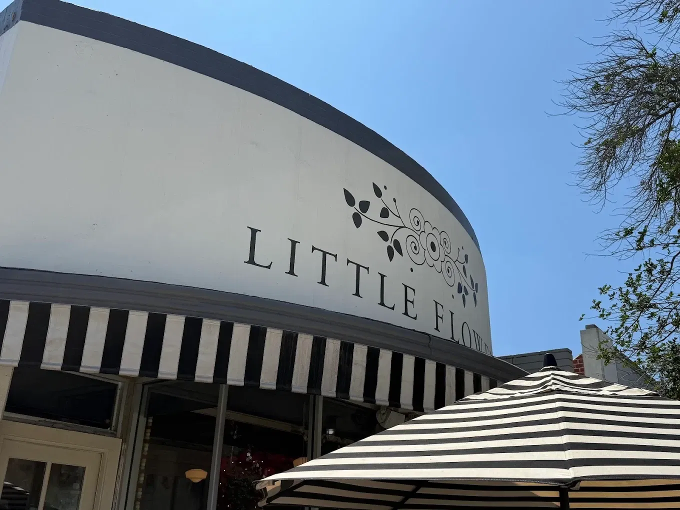 Little Flower Candy Company