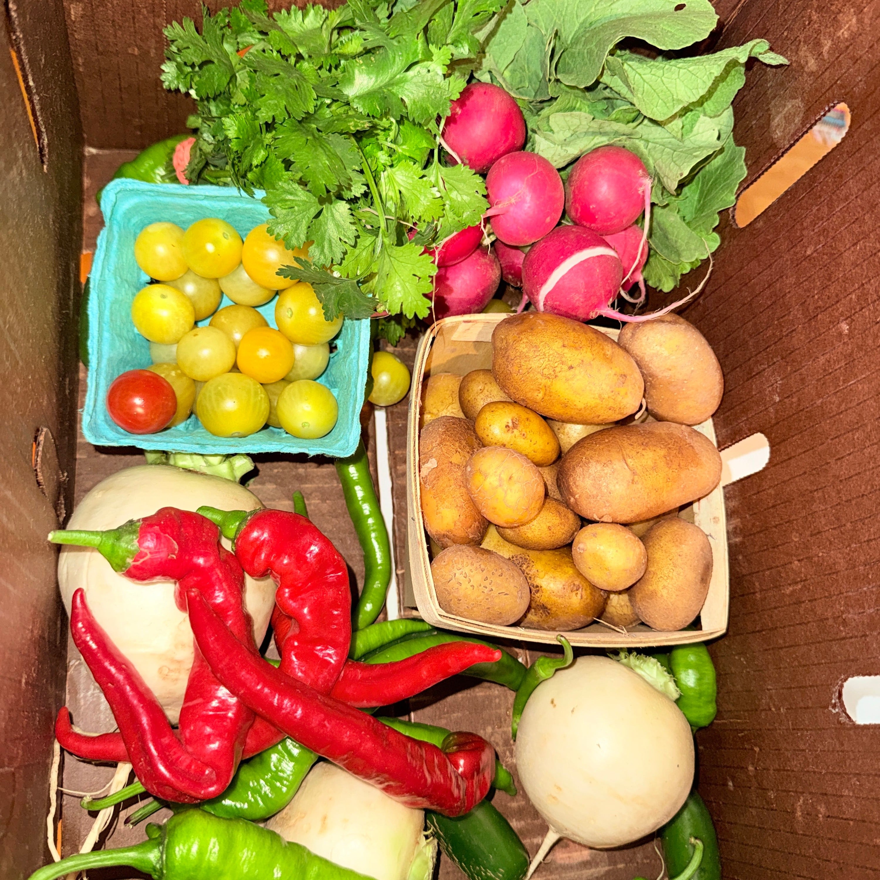 Community Farm Co-ops