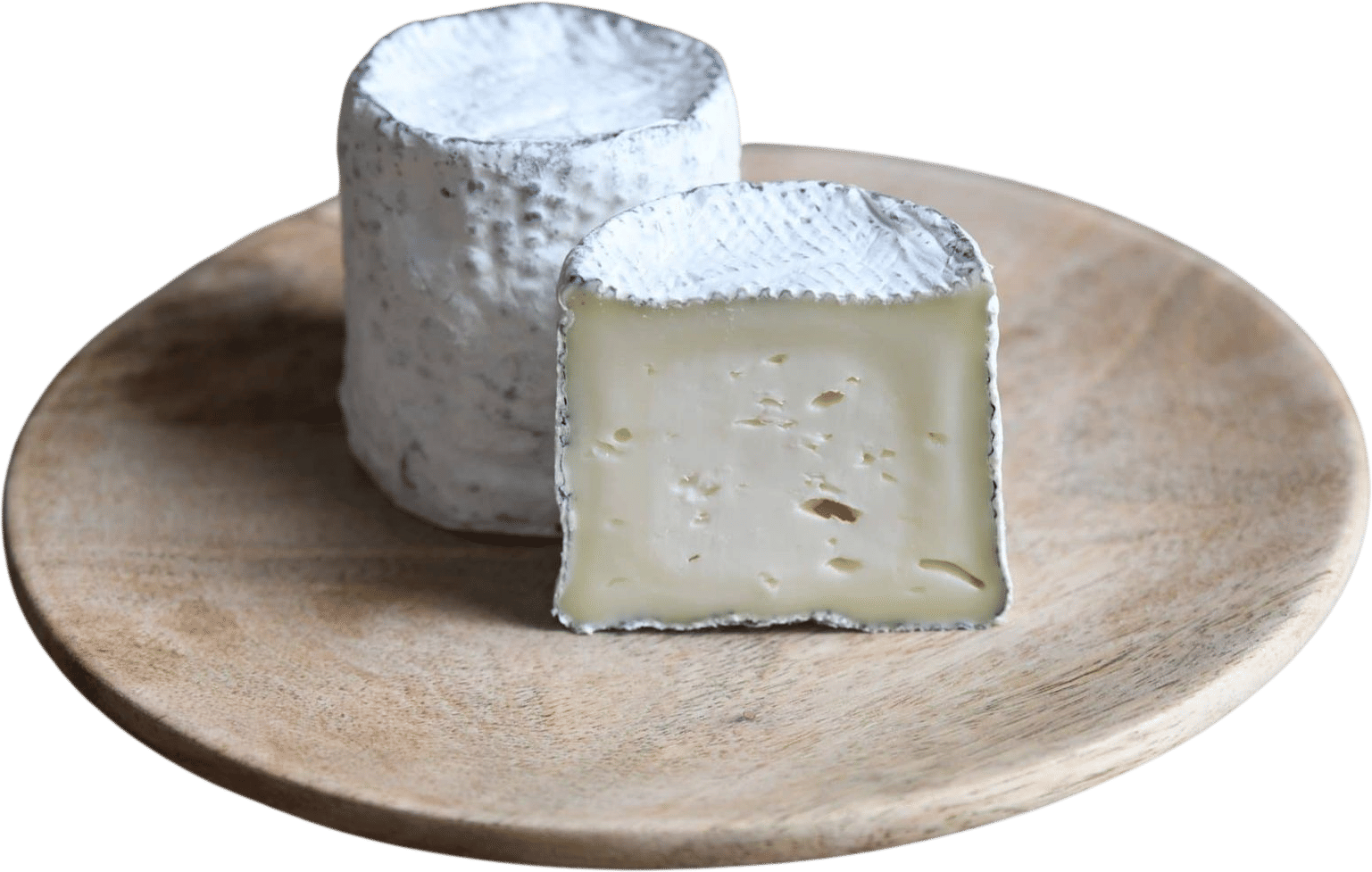 Dirt Lover Cheese