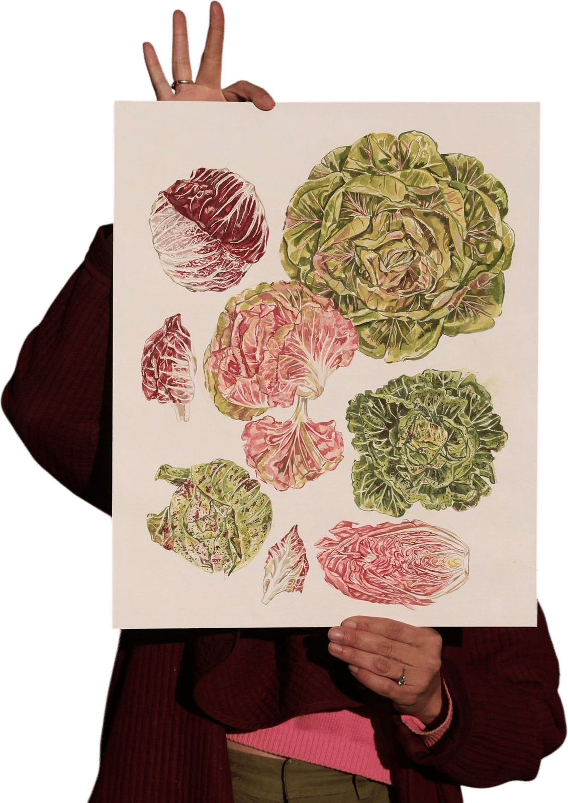 Chicories Print