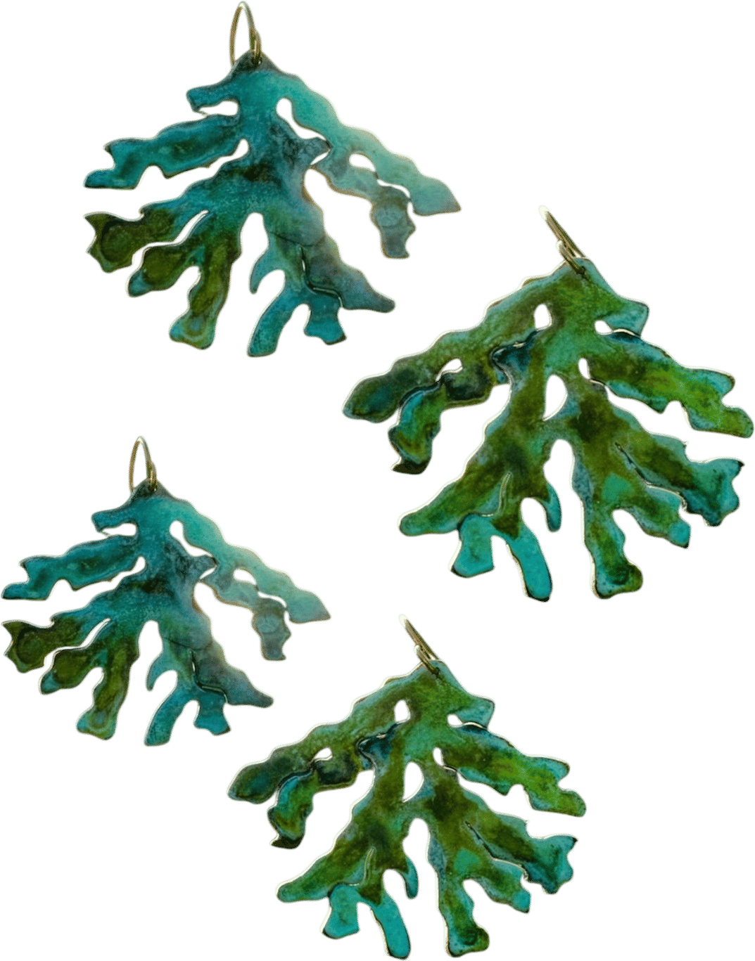 Summer Algae
