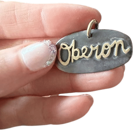 Custom metal pet name tag
