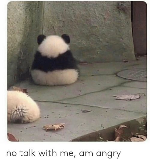 "no talk with me, am angy" meme