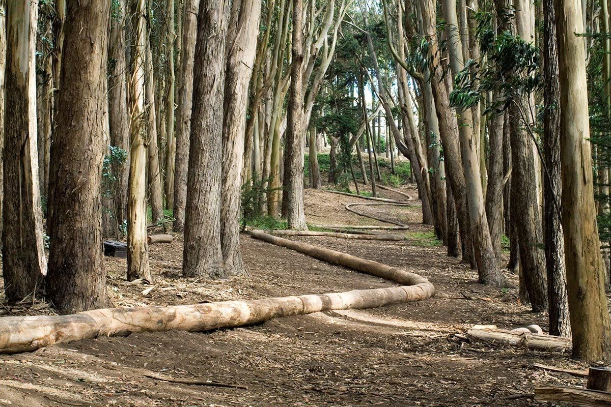 Andy Goldsworthy’s Wood Line
