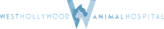 West Hollywood Animal Hospital