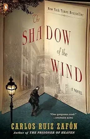 Shadow of the Wind