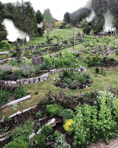 Community Seed Exchange