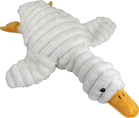 Plush Dog Toys
