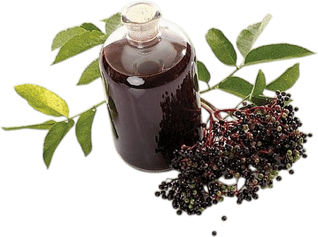 Elderberry for winter ailments