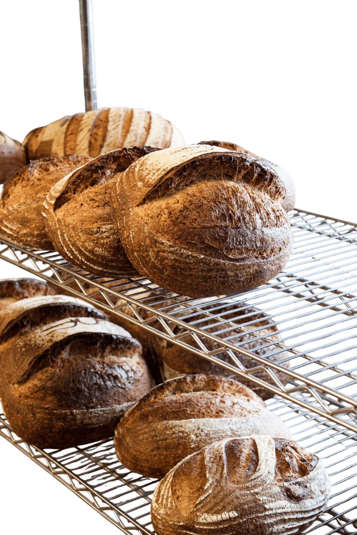 Bob's Well Bread Bakery & Café