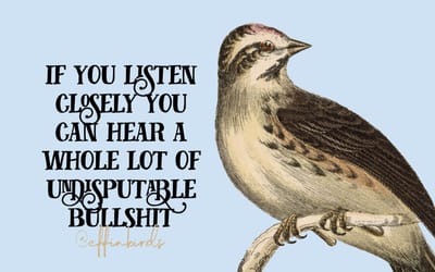 Effin Birds