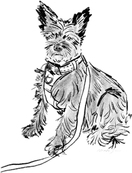 Doodling your friends dogs