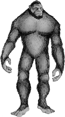 Sasquatch
