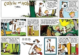 “Hobbes” from Calvin and Hobbes