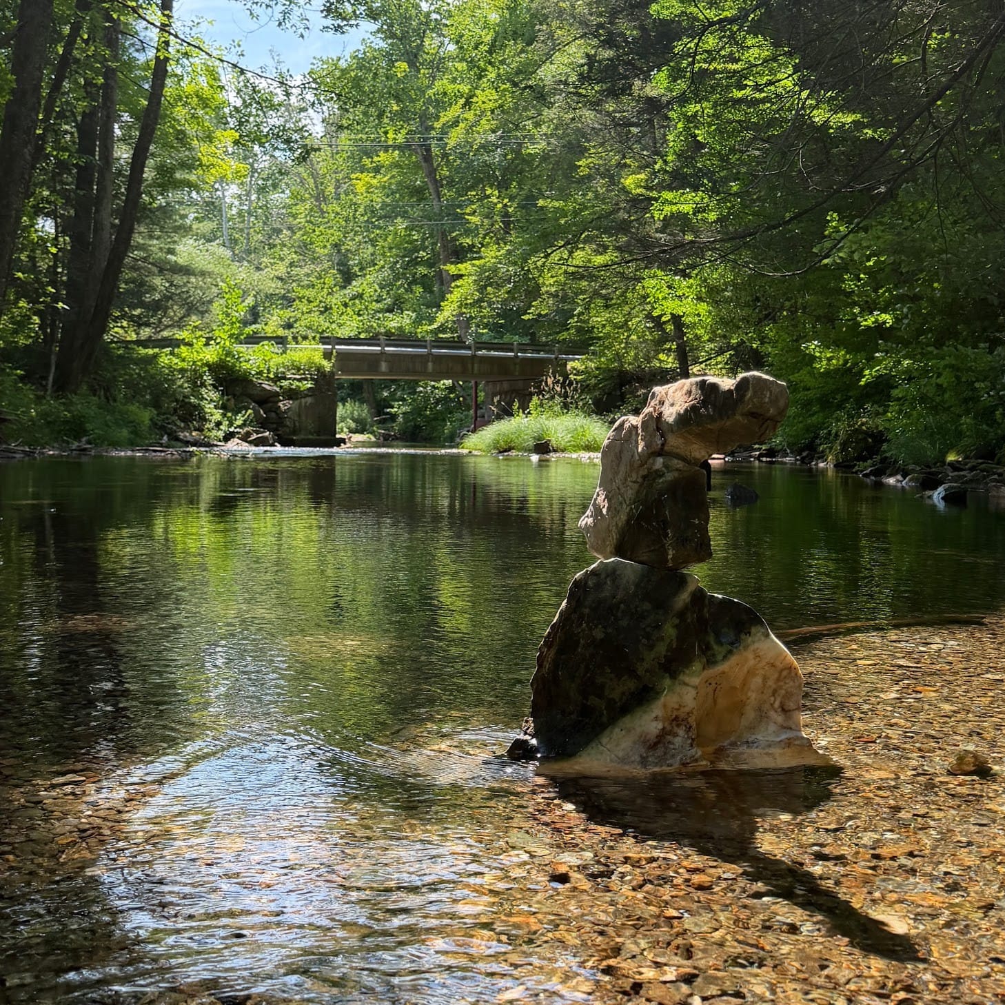 Swimming/picnicking/reading at the river