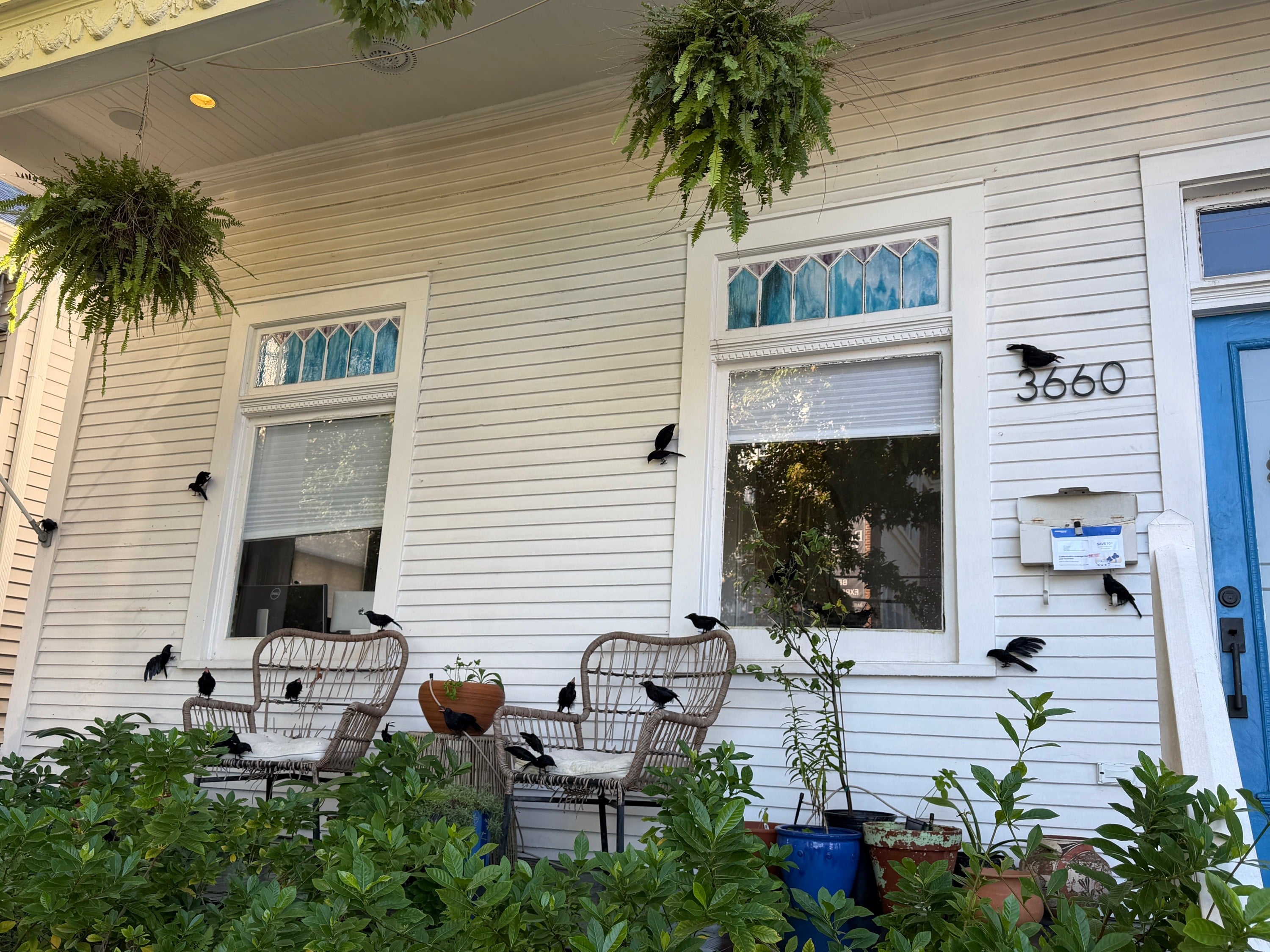 Fake Crows Halloween Decor