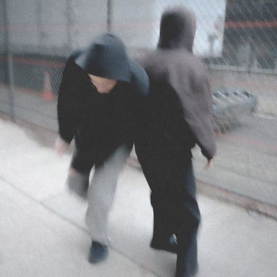 Seeing Is Forgetting by Elori Saxl & Henry Solomon