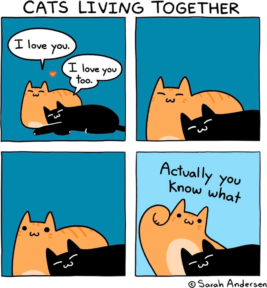 Cats Living Together by Sarah Andersen 🐈‍⬛