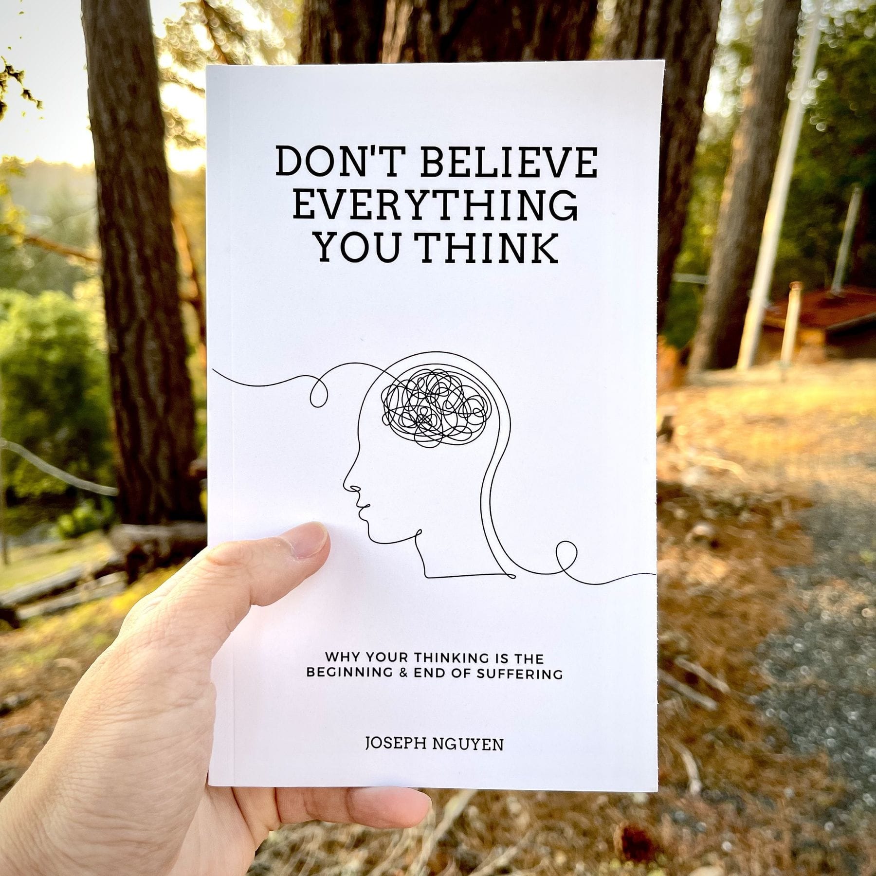 Don't Believe Everything You Think (Joseph Nguyen)