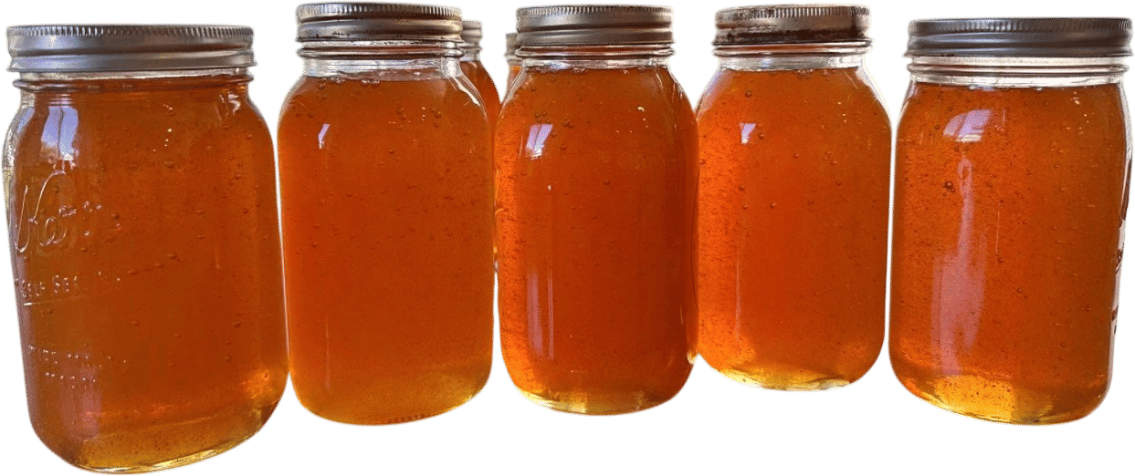 Gifting a big jar of local honey