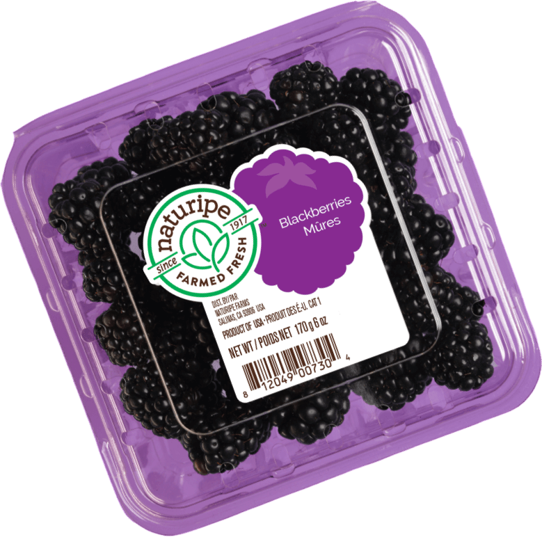 Organic Blackberries