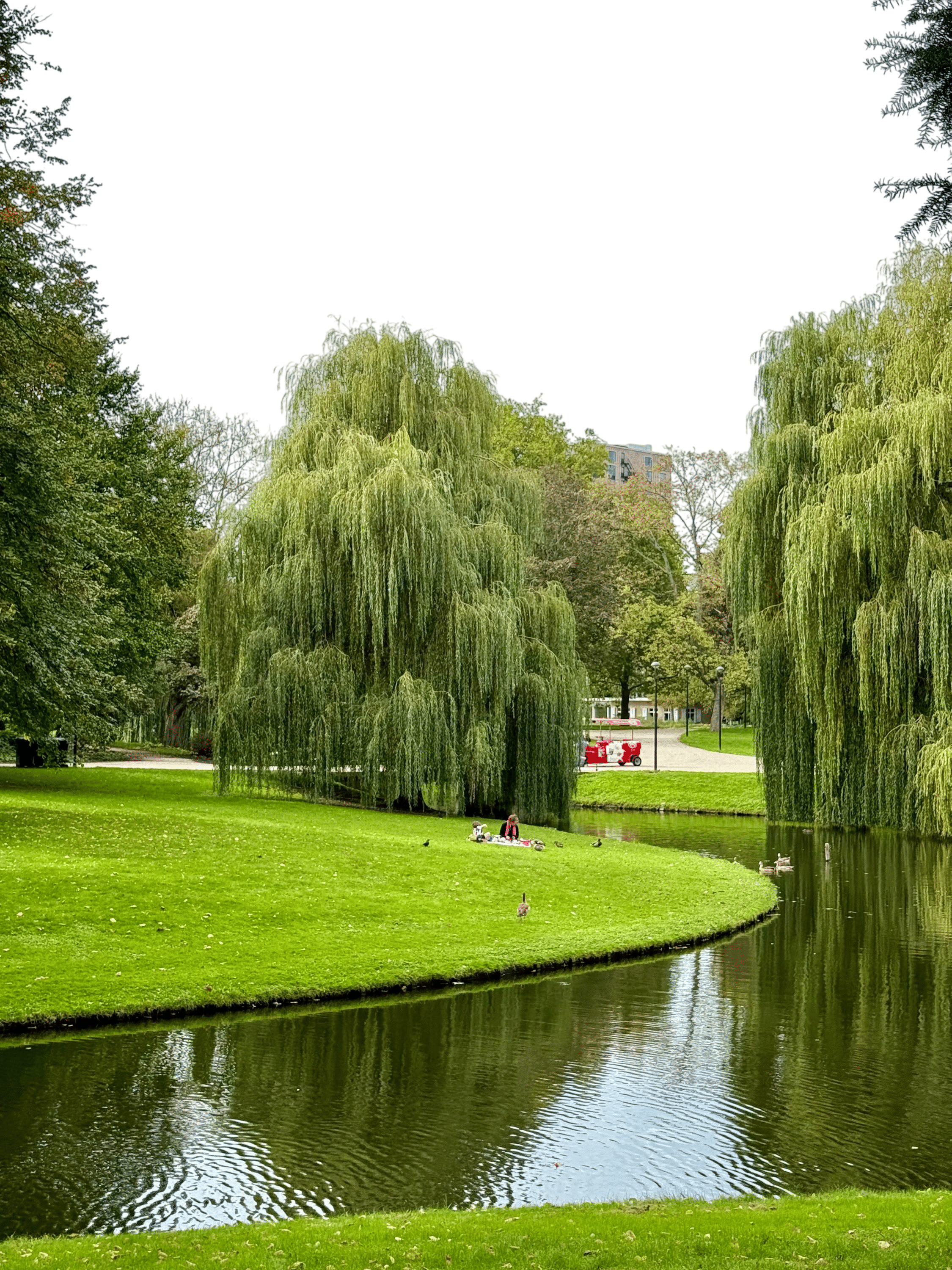 painting at the park