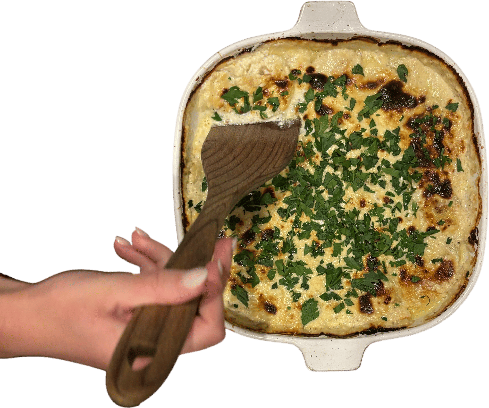 Potato Gratin