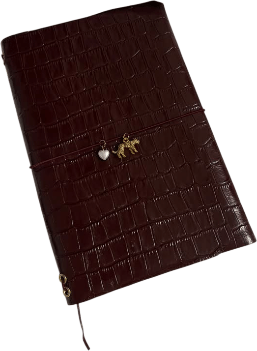 putting your passwords in an anolog notebook