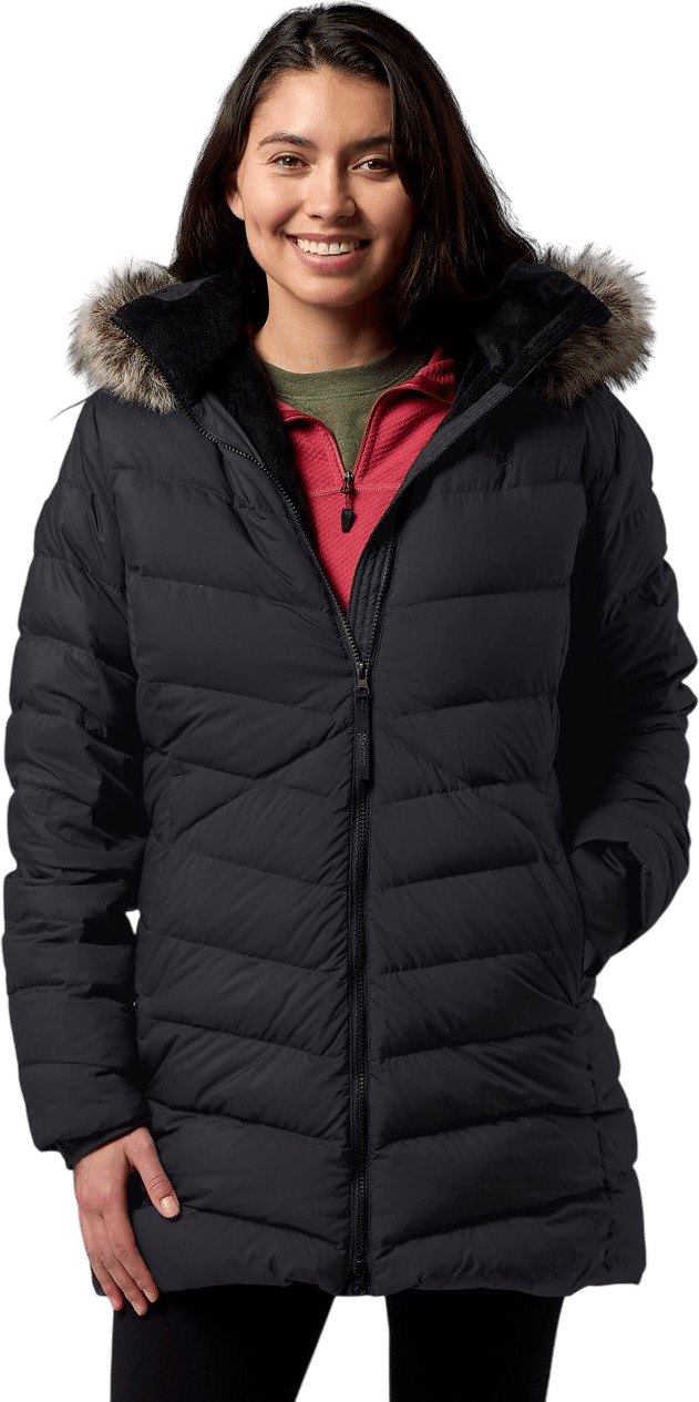 marmot